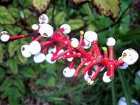 photos 2000-200901733